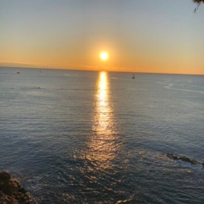 musclepeachboy's profile picture. 自信こそ最高のソリューション