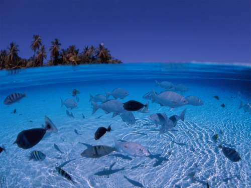 minn_vike's profile picture. Amateur photographer.