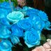 blue rose. #MahsaAmini (@bluerose1401) Twitter profile photo blue rose. #MahsaAmini (@bluerose1401) Twitter profile photo