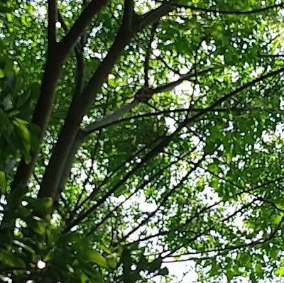 Junkokko6's profile picture. 労働組合活動を応援する中年男の個人アカウントです。
公式見解ではないので悪しからず。
職業は非公開です。