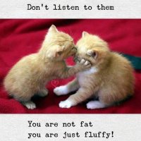 animal abus.exposed 2 (@schnurrli2) 's Twitter Profile