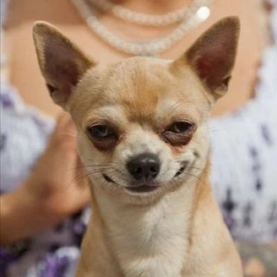 qamarolmolok's profile picture. 