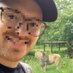 Dan Kiss (@dankiss_) Twitter profile photo Dan Kiss (@dankiss_) Twitter profile photo