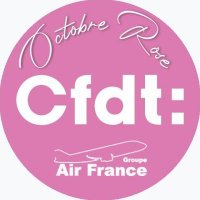 CFDT grp. AirFrance (@cfdtaf) 's Twitter Profile