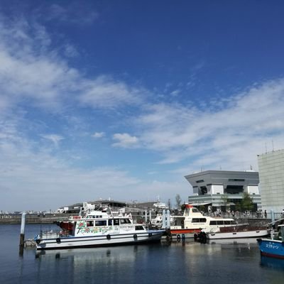 nrZnvy2ZdaztsIQ's profile picture. 