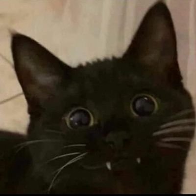 anathemaniani's profile picture. I'm gay and boring yea that's about it