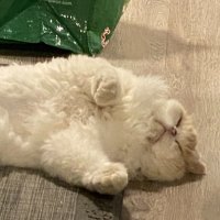 Marvel Tidball ❤️ Memecoin (@marveltidball) 's Twitter Profile
