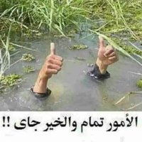 إحسان القيسي (@ahme_d880) 's Twitter Profile