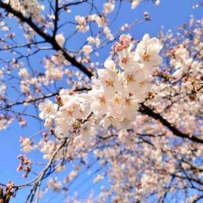 三雲さんのプロフィール画像