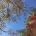 UTM Birdfeeder (@utmbioornithcam) Twitter profile photo UTM Birdfeeder (@utmbioornithcam) Twitter profile photo