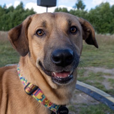 Sunday_lav's profile picture. One of the humans of all time