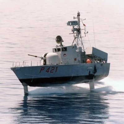 VLS Enjoyer Profile