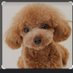 きまぐれくん (@kimagurekun0202) Twitter profile photo きまぐれくん (@kimagurekun0202) Twitter profile photo