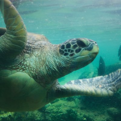 ffPiolu07BN1ib4's profile picture. 世界平和統一家庭連合の現役教会員です。36万双。 祝福合同結婚式の存在が決め手となり、入会しました。 趣味は川釣り、ゴルフ。そろそろ100切りたい。