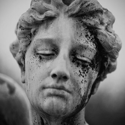 WisdomGains's profile picture. Helping people beat their depression by their own free will, to start thriving in life.