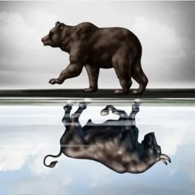 MVDNjCrypto's profile picture. 