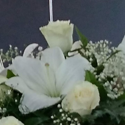 Marthad26684375's profile picture. 