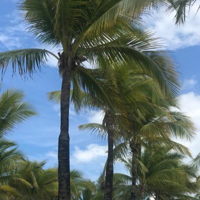 antoasantos's profile picture. Twitteo cuando me acuerdo. Combato trolls. Faveo perritos. 💚