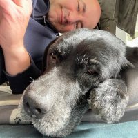 John Wright MStJ (@johna_wright) 's Twitter Profile