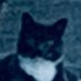 Curtis Hasselbring (@defnotcurha) Twitter profile photo