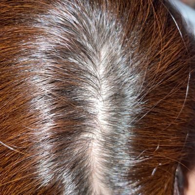 Intersec2526's profile picture. 髪フェチetc