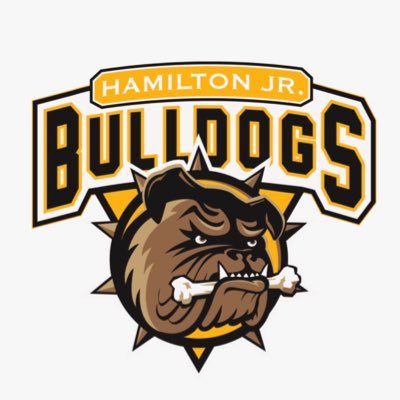 Hamilton Jr. Bulldogs AAA Hockey Association