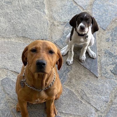 Hotelguy605's profile picture. Father,husband,Servant, and businessman.