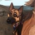🐶Man's best slut🐶(woof i'm back!) (@dogslut1321) Twitter profile photo 🐶Man's best slut🐶(woof i'm back!) (@dogslut1321) Twitter profile photo