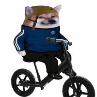 fuffin (@fuffin) 's Twitter Profile