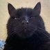 🖤 Gros Valentin 🖤🦐 (@grosvalentin6) Twitter profile photo 🖤 Gros Valentin 🖤🦐 (@grosvalentin6) Twitter profile photo