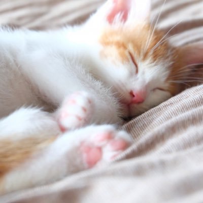 bz3az's profile picture. 趣味: マンガ/アニメ/ゲーム/哲学的なことが好き