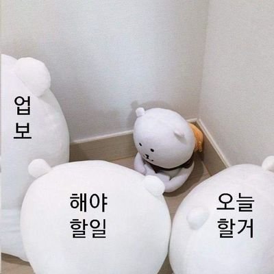 하고싶은거하는계정さんのプロフィール画像