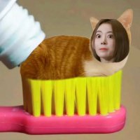 adogisrunningout (@notsuyul1) 's Twitter Profile