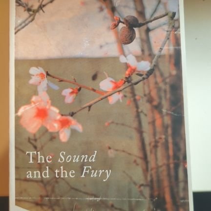 maths4513's profile picture. Youth