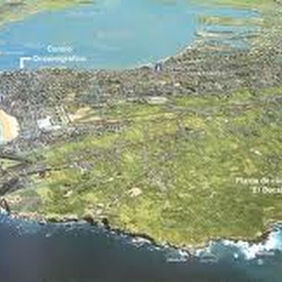 pedraja_isabel's profile picture. 