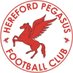 Hereford Pegasus FC (@HerefordPegasus) Twitter profile photo