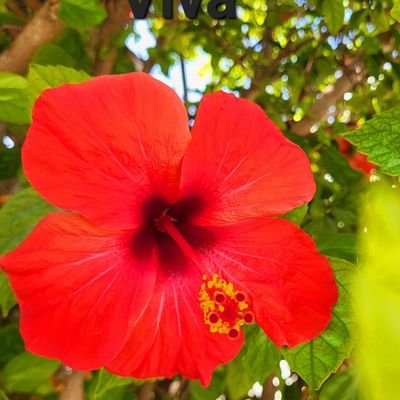 FrankaOhneZahl's profile picture. Ungeimpft, ehemals FDP jetzt definitiv nicht mehr. 
Kann Spuren von Zynismus und Satire enthalten.