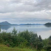 AKLurker (@aklurker) 's Twitter Profile