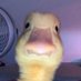 NAME CANNOT BE BLANK (@vivivu1_) Twitter profile photo NAME CANNOT BE BLANK (@vivivu1_) Twitter profile photo