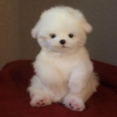 craxymold's profile picture. 