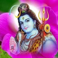 Prakash Dewasi Padru (@prakash67296932) 's Twitter Profile