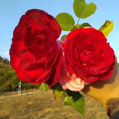 🇹🇷Vatan; Ne Türkiye'dir Türklere, Ne Türkistan,
Vatan; Büyük ve müebbet bir ülkedir;
Turan🇹🇷