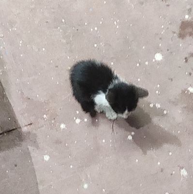 srikanthvenkat9's profile picture. nothing here to see, but u can check the link below