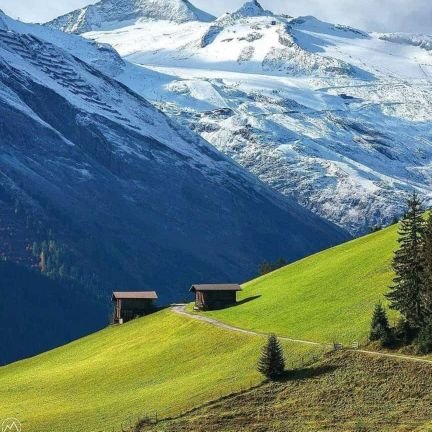 HamisiKitangita's profile picture. 