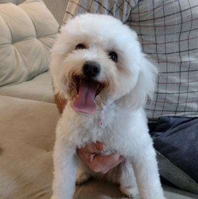 evelise_magnus's profile picture. viva a vida como se não houvesse amanhã, tudo mentira penso muito no amanhã kkk