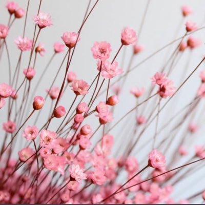 LaurenAsh2007's profile picture. I live vicariously thru good romance books!