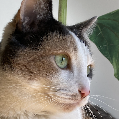 goodcontent1011's profile picture. 