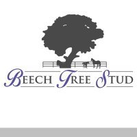 Beechtree Stud (@leahanb) 's Twitter Profile