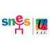 SNES-FSU (@SNESFSU) Twitter profile photo