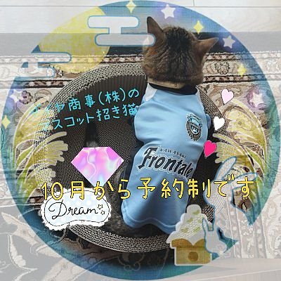 daiyashoji3's profile picture. 中原区🤗オズ通り商店街⚽フロサポカンパニー🐬💅🏻ネイルサロンも✍️予約制のお店へ🚗ぜひフォローもお願いします🤗☕🆕社長 @ryota_ever_blue 🐬川崎フロンターレ⚽大好き✨管理人MAI🌷.*水溜りボンド💧ぽんたろ🍙DAIYA🐬17推し⚠ENEOS🐈2022年⛽ENEOSのみ‼️閉店